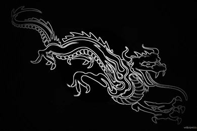 Dragon Wallpapers Widescreen   Wallpapers Cave