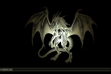 Zoos pisajes plantas etc: Dragon Wallpapers