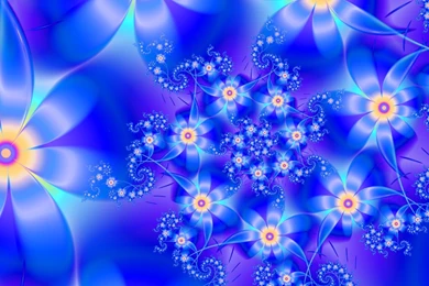 Blue Water Flowers Wallpapers HD