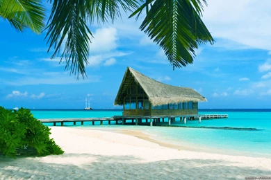 Summer Scenes Wallpapers   Crazy Frankenstein