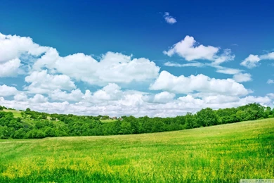 SUMMER SCENERY WALLPAPER   (