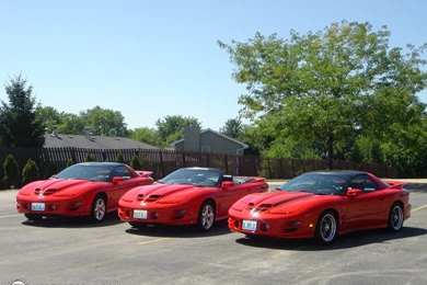 Pontiac Trans Am WS6 Wallpapers   Image