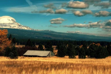 Summer Scene Wallpapers   Wallpapers Cave