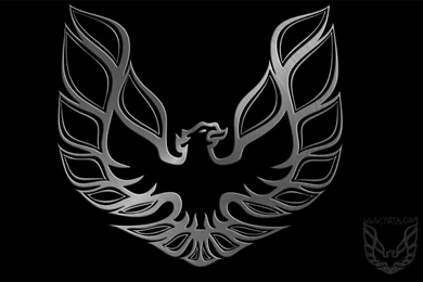 Hitman's Pontiac Trans Am Site   Multi Media Downloads