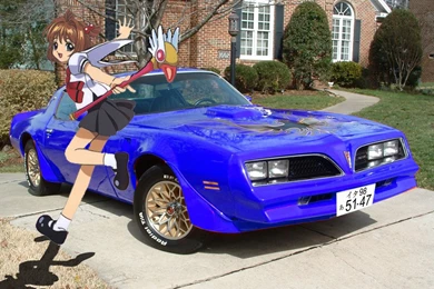 Browsing Wallpapers On DeviantArt