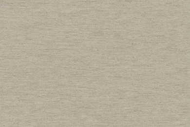 BQ3863 Saint Augustine Neoclassical Rose Damask Texture Wallpapers ...