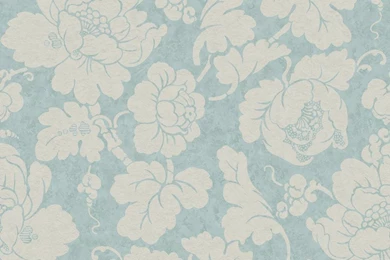 Flower   Wallpapers & Border