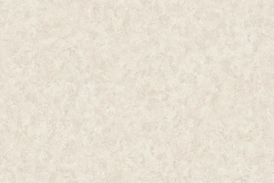 American Classics Oversized Peony Texture Wallpapers   Wallpapers ...