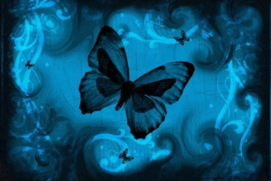 Wallpapers Purple Fairies This Is The Extra Cool Butter Fly Fairy ...