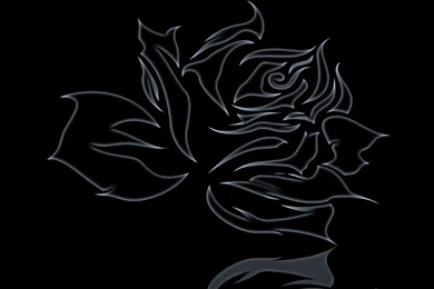 Free Illustration: Abstract, Rose, Black, Backgrounds   Free Image ...