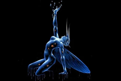 Blue Fairy   Bits And Pieces Wallpapers (1730224)   Fanpop