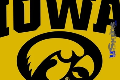 Iowa Hawkeyes Tigerhawk Oval 01 Black On Gold   Decal Style Vinyl ...