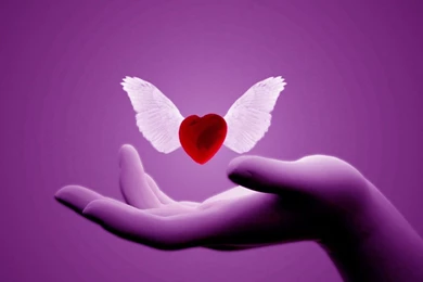 Love Pictures Wallpapers