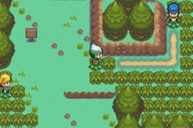 Pokemon Shimmering Emerald By LazzXion Keyblade On DeviantArt