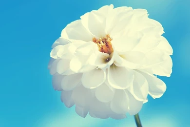 Wallpaper: Ppt Wallpapers Free Download