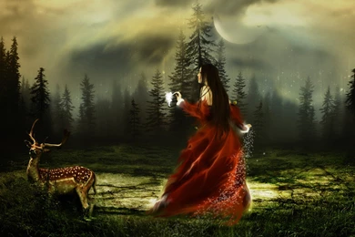 Dreamy Forrest Fairy