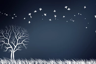 Dreamy Night Animated Wallpapers