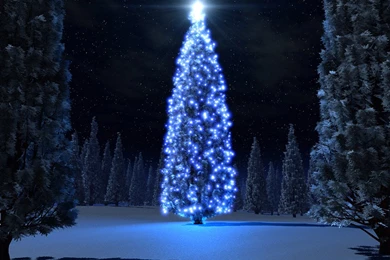 Blue Christmas < 3D Art < Gallery < Desktop Wallpapers