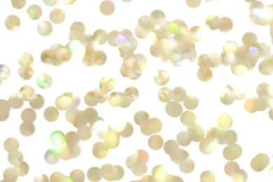 White And Gold Iphone Wallpapers 2016   White Brick Wallpapers