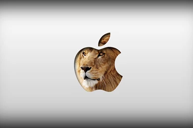 Mac OS X Lion