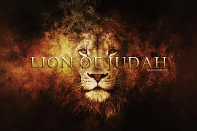 Lion Of Judah Believers4ever.comBelievers4ever.com