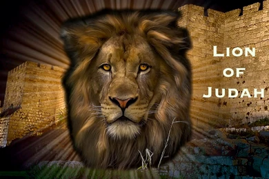 Wallpapers Jesus From Heaven Lion Of Judah 1920x1080