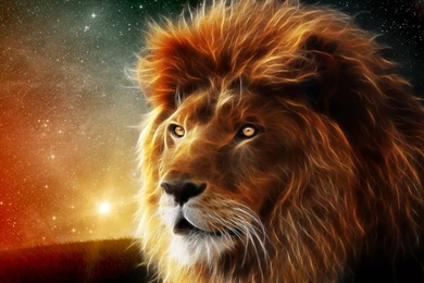 Free Images Of Lion Of Judah