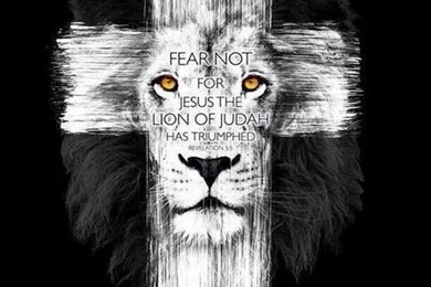 Fear Not, For Jesus, The Lion Of Judah, Has Triumphed
