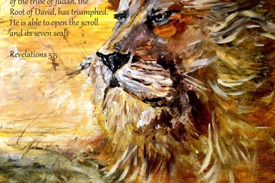 Pictures Of Lion Of Judah   Wallpapers HD Fine