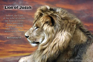 Judah Bible Quotes. QuotesGram