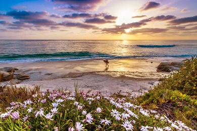 Surfer On A California Beach At Sunset   (