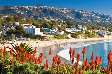 Laguna Beach California   (