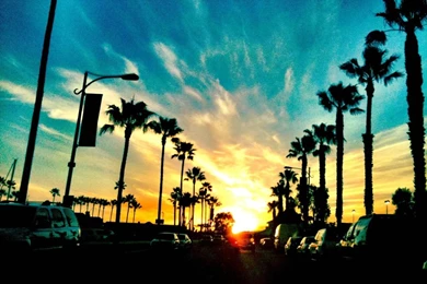 Wallpapers Long Beach