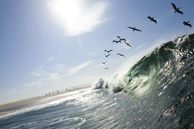 Newport Beach, California