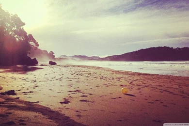 California Beaches   Wallpaper.