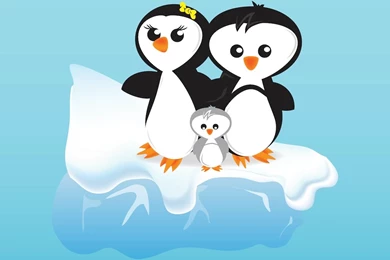 Cartoon Penguin Pictures   Wallpapers HD Fine