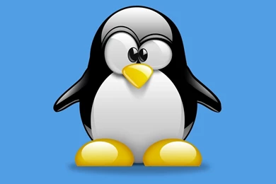 Download Penguins Wallpapers 1024x768