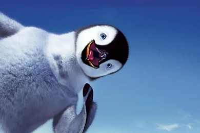 Penguin, Animated, Cartoon   HD Wallpapers