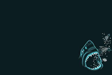 Shark Computer Wallpapers, Desktop Backgrounds