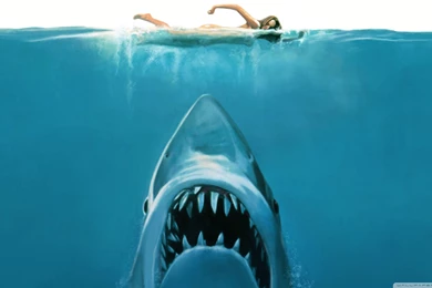 The 13 Most Awesome Wallpapers For People Who Love Shark Week ...