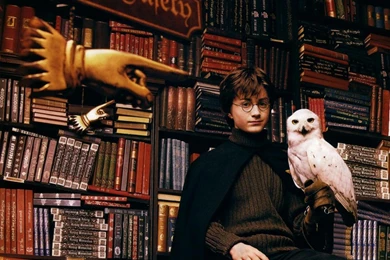 Valentine Day 2014: Eku Wallpapers