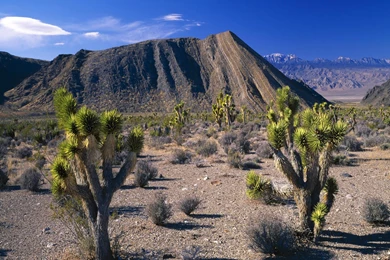 Field Guide To Conservatism: October 2010