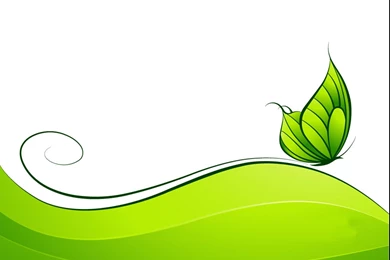Green Abstract Design With Butterfly PPT Template, Green Abstract ...