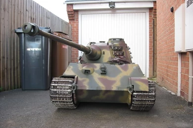 1/4 King Tiger Fun With The Little Pond