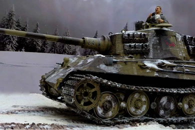 Snowy King Tiger   Typta.com