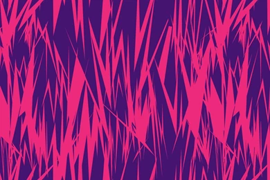 Life Of The Chivalrous Kid: Thehundreds