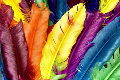 794x699px Wide HDQ Colored Wallpapers 58.78 KB