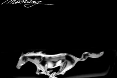 Mustang Logo Wallpapers   Image