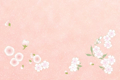 1920*1200 Flower Pattern & Colors In Japanese Style (Vol.2 ...