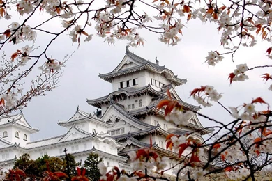 Japanese Style: Houses Photographic Wallpapers Of Cherry Blossoms ...